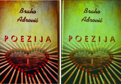 BEZGRANIČNI POETSKI SVIJET BRAHA ADROVIĆA – mr Željko Rutović