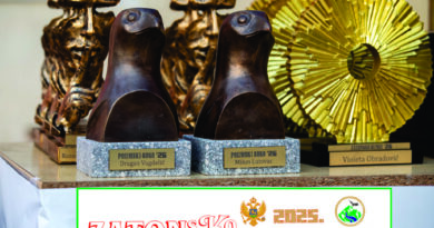 FESTIVALSKA NOĆ – ZATON ’26